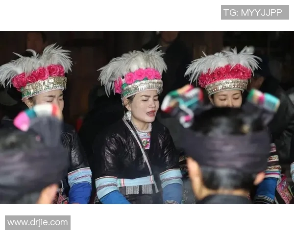 精华布衣天下的魅力与智慧探索之旅，让我们一起领略生活的真谛与美好